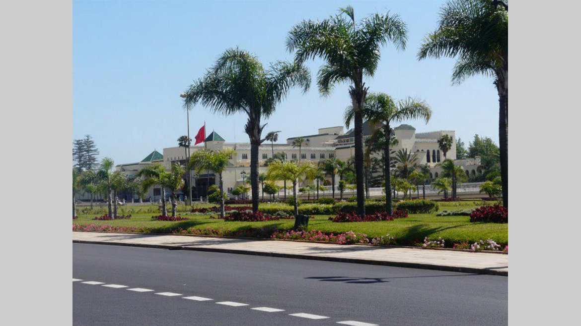 Yalangoch sochilgan mushuklar