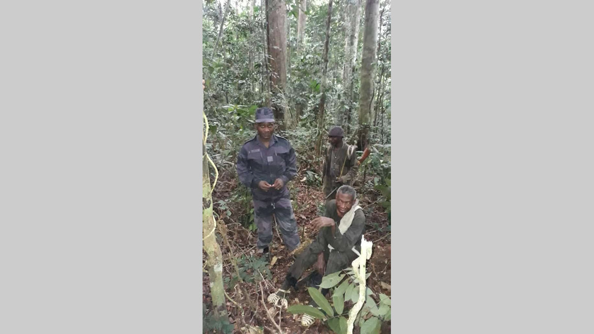 Oyem : perdu en forêt pendant 4 jours, il est retrouvé vivant