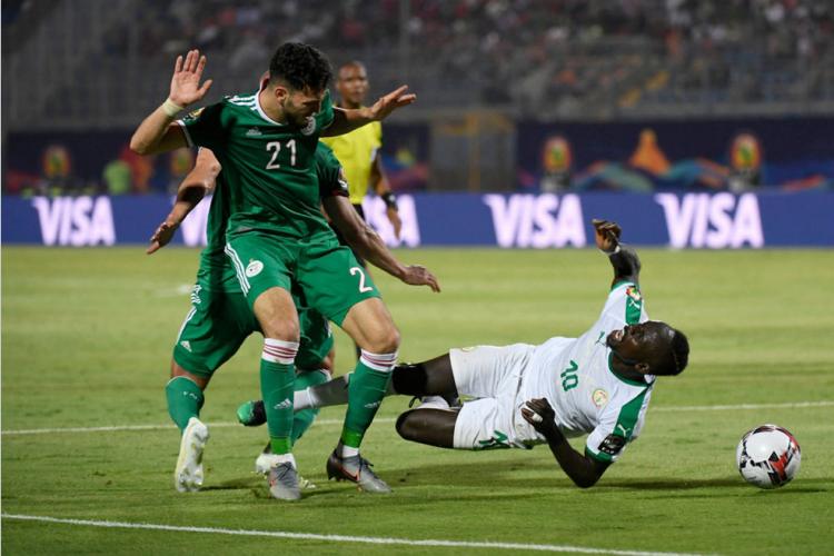 CAN 2019/Finale : Les Lions se posent en favoris, les Fennecs veulent un second titre