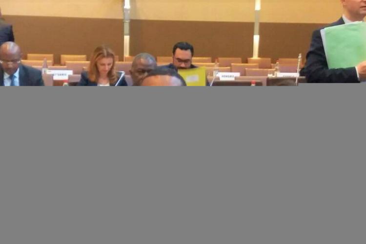 Organisation internationale de la Francophonie : Le Gabon à la présidence du groupe restreint sur Haïti