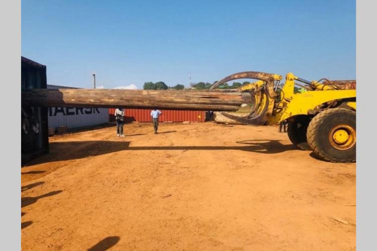 Secteur bois : Le Gabon importe du teck