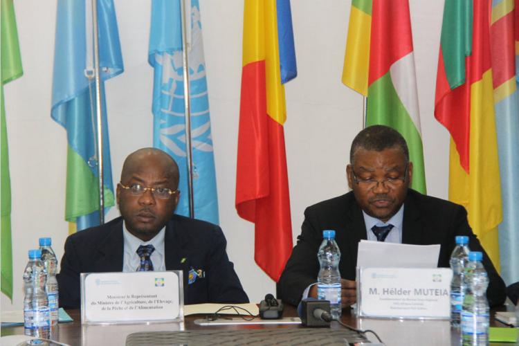 FAO : Accroître les synergies entre acteurs 