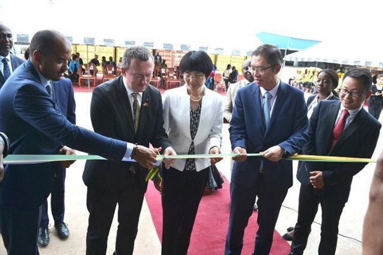 Transformation du bois : Lee White inaugure deux usines