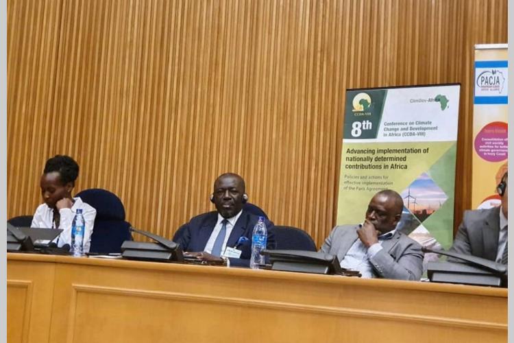 8e conférence sur le changement climatique : L’expertise du Gabon sollicitée