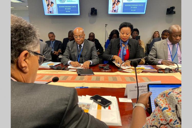 Diversification de l'économie : CAB4 et PDIL2 : le Gabon sollicite plus de financements
