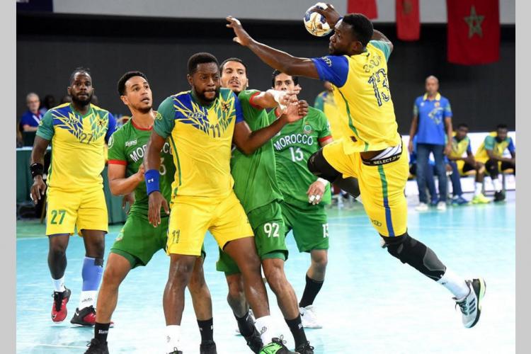 Handball : Des doutes autour des Panthères
