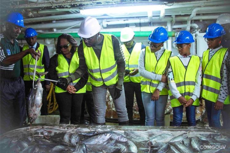 Thon : 1 250 tonnes transbordées à Owendo