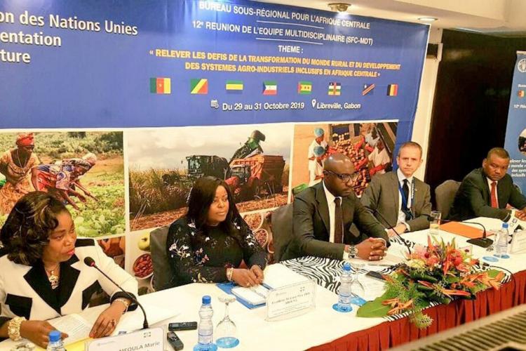 Afrique centrale : Comment doper la production agricole ?