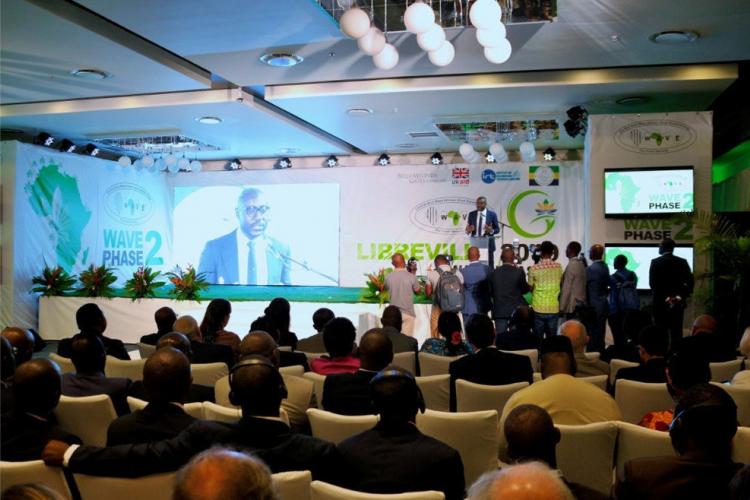 Agronomie : Comment protéger la culture du manioc ?