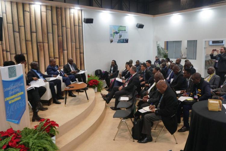 COP25 : Lee White actif au segment ministériel