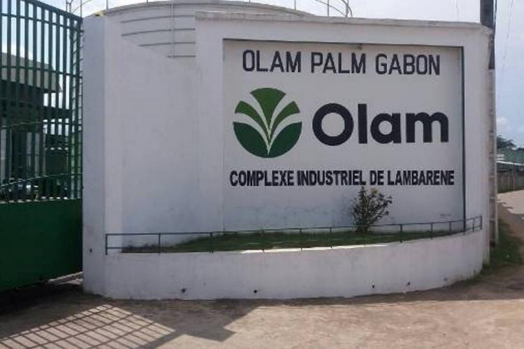 Conservation : Olam Palm Gabon primée à l’international