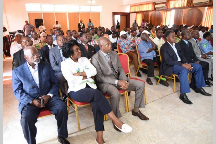 Covid-19 : les propositions de l'Union nationale