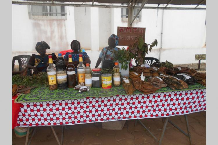 Recherche : Impliquer chercheurs et thérapeutes à la lutte