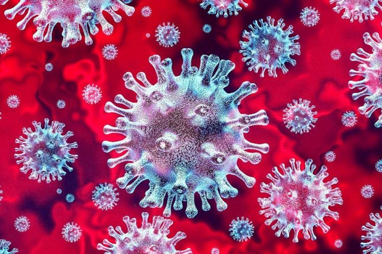 Covid-19 : Un déficit à combler sans délai