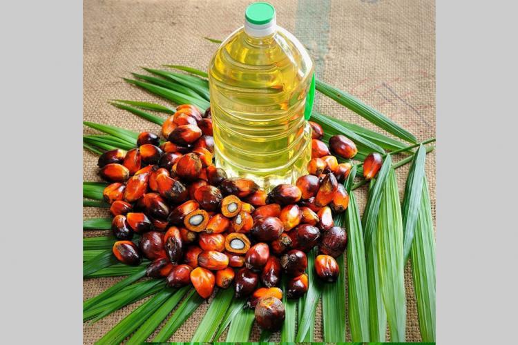Huile de palme : Olam Palm Gabon Lambaréné certifiée ISO 22 000