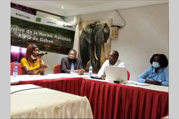 Huile de palme : le Gabon tient sa référence RSPO
