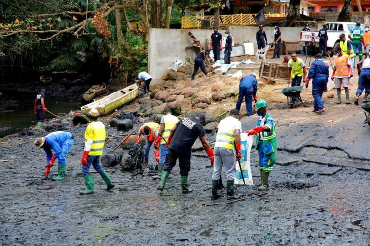 Environnement : le bel exemple de Yannick Ongonwou Sonnet