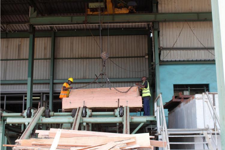 Bois : les industries en recul
