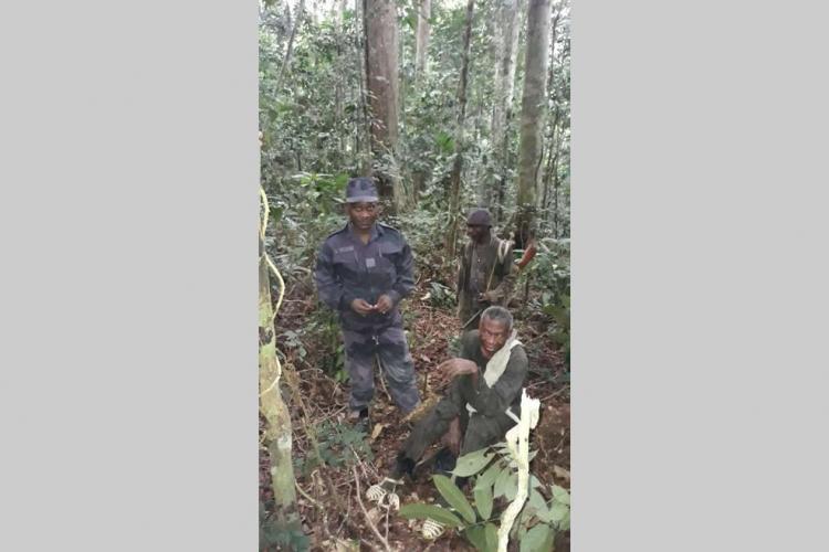Oyem : perdu en forêt pendant 4 jours, il est retrouvé vivant
