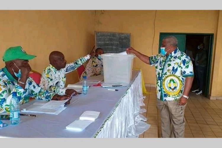 Elections sénatoriales : La "discipline militante" mise à rude épreuve durant les primaires au PDG?