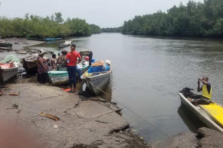 Pêche : Bambouchine, nouvel eldorado