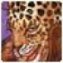 Portrait de LavillWhate